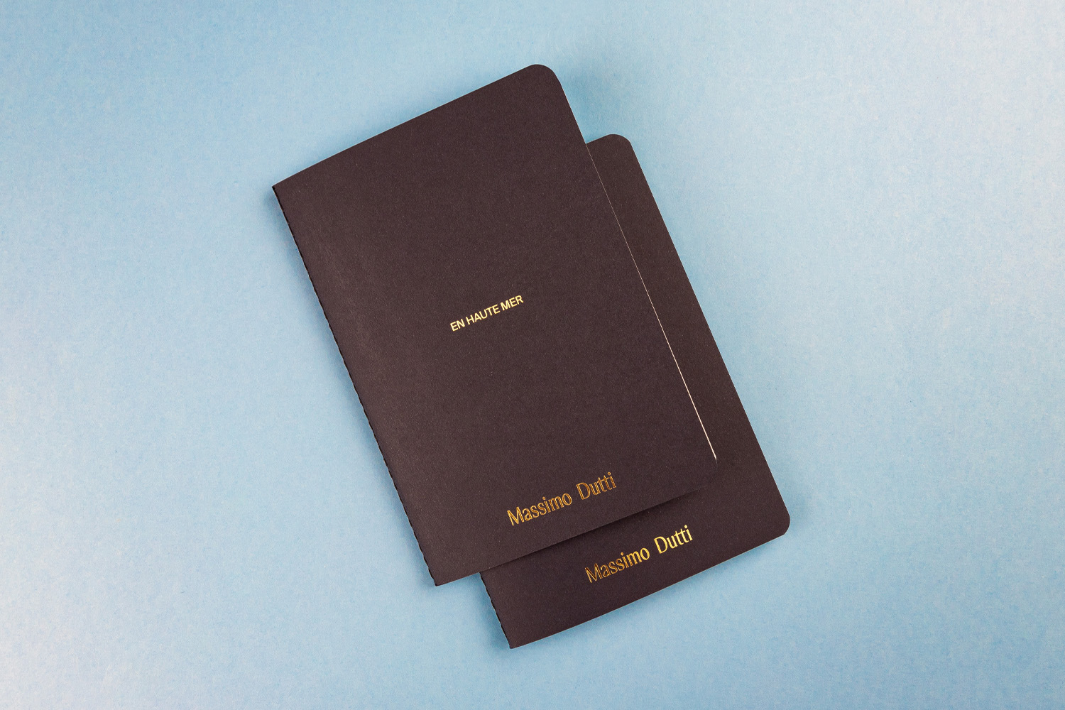 Passport Massimo Dutti