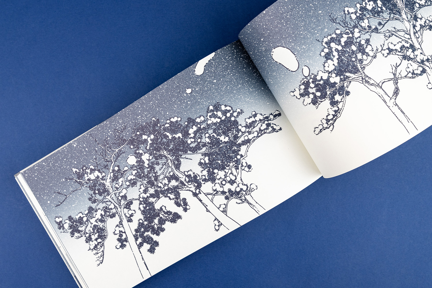 Impression Linnea Sterte Les Editions de la Cerise