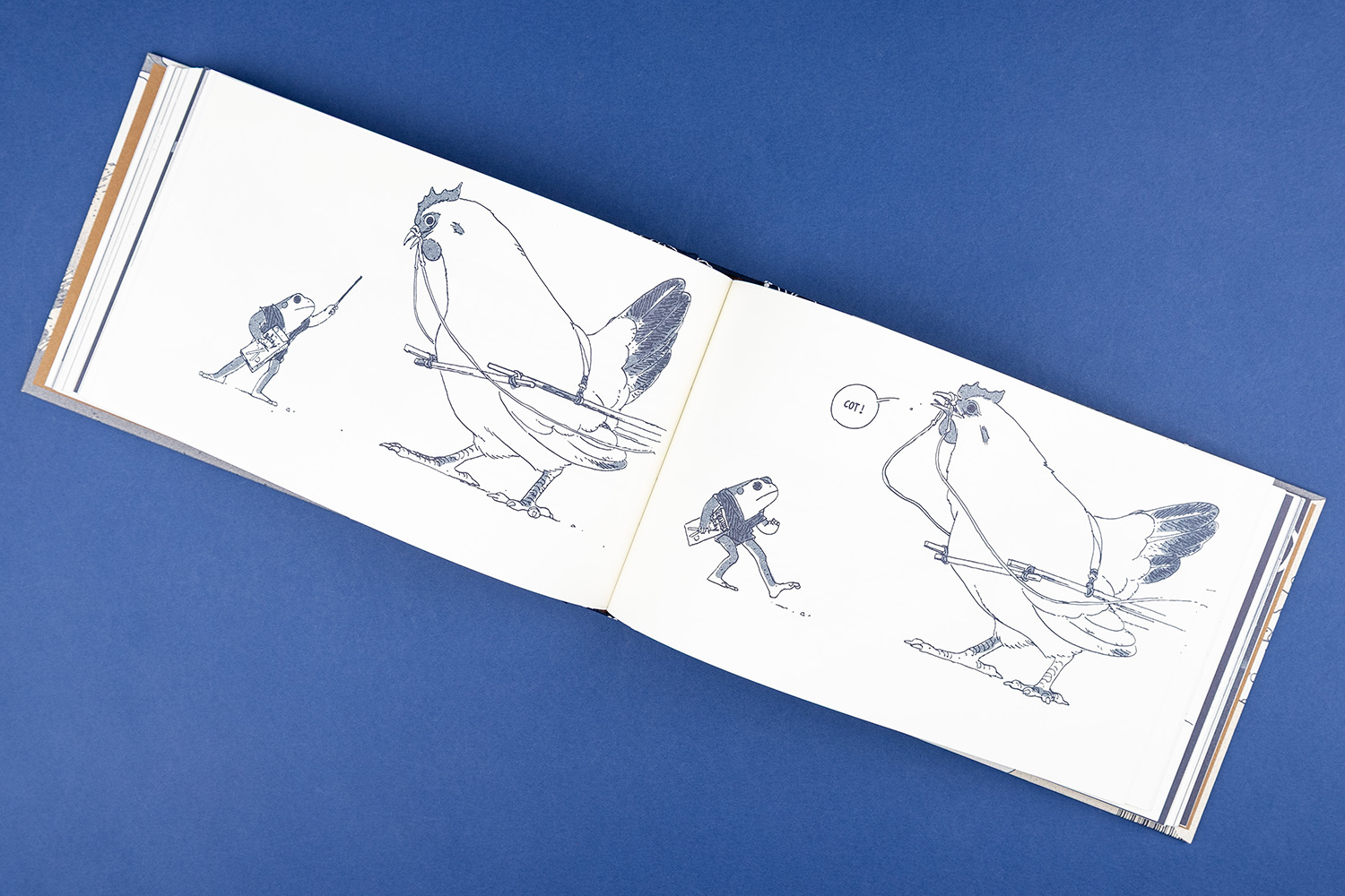 Livre Linnea Sterte Les Editions de la Cerise