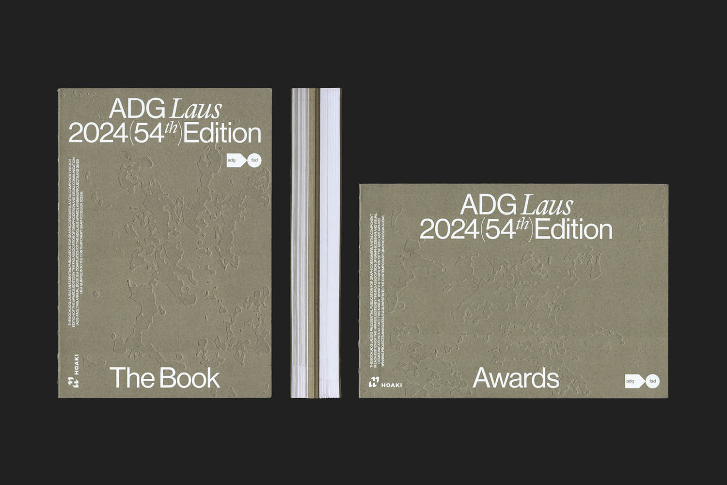 Libro ADG LAUS 24 Tiquismiquis Club