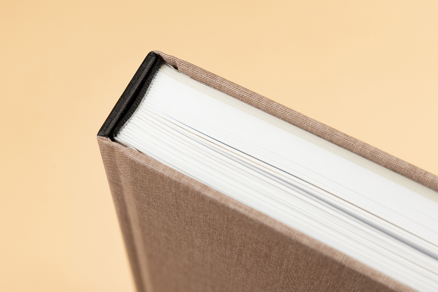 Catàleg Josep Mestres Cabanes Museu Manresa