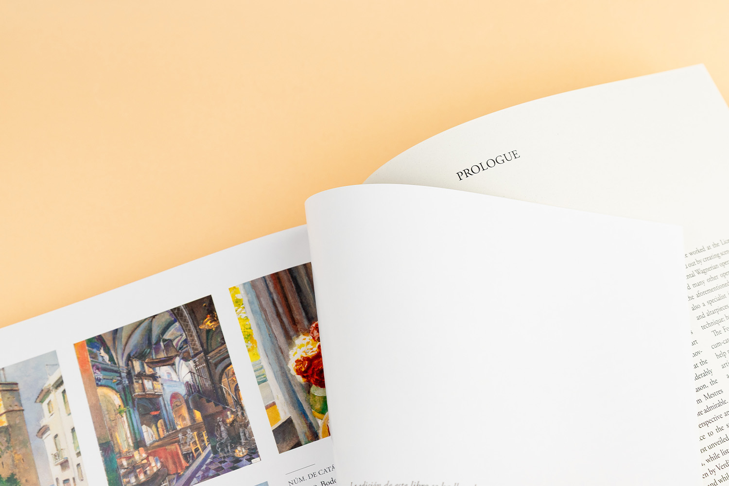 Llibre Josep Mestres Cabanes Museu Manresa