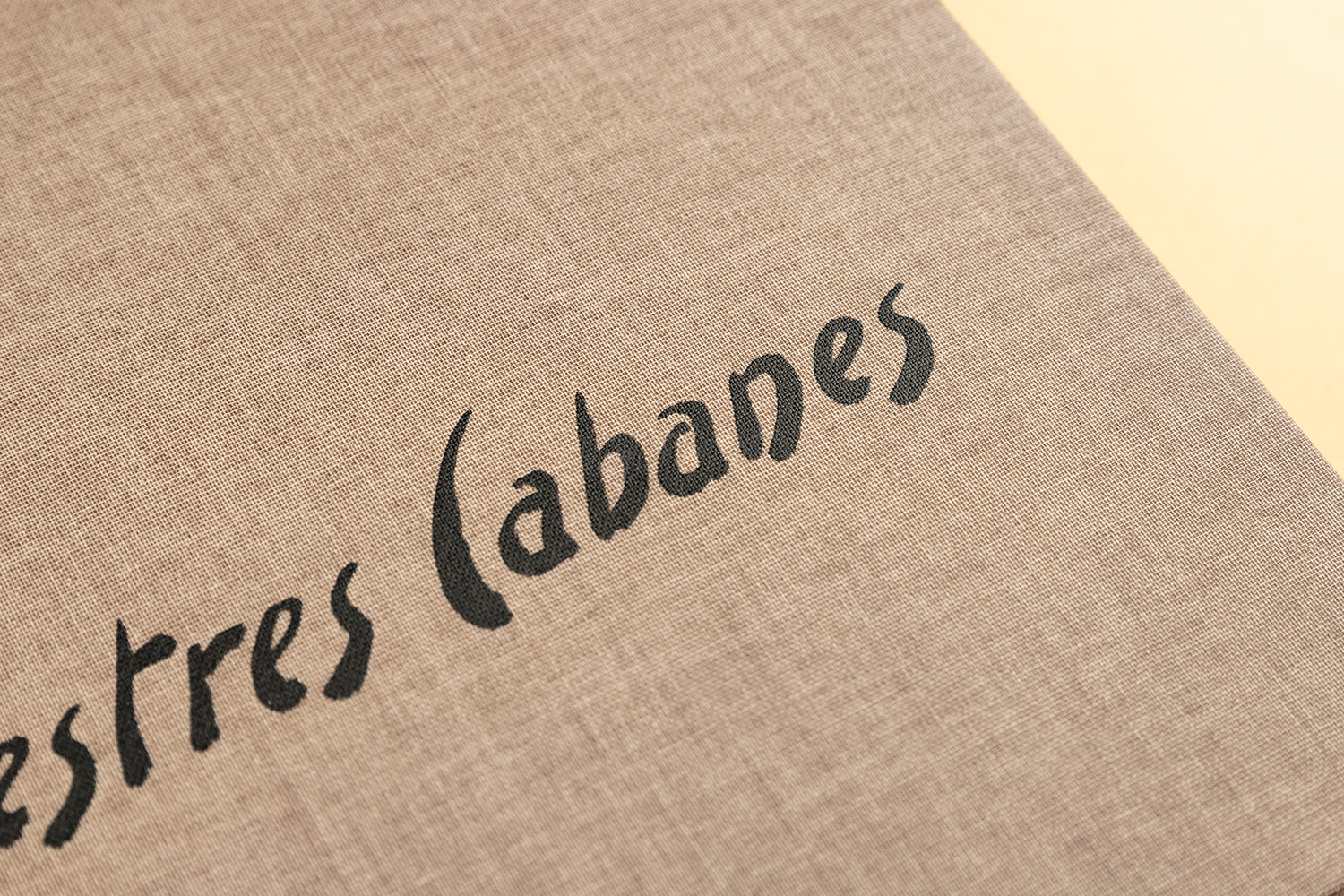 Serigrafia Josep Mestres Cabanes Museu Manresa