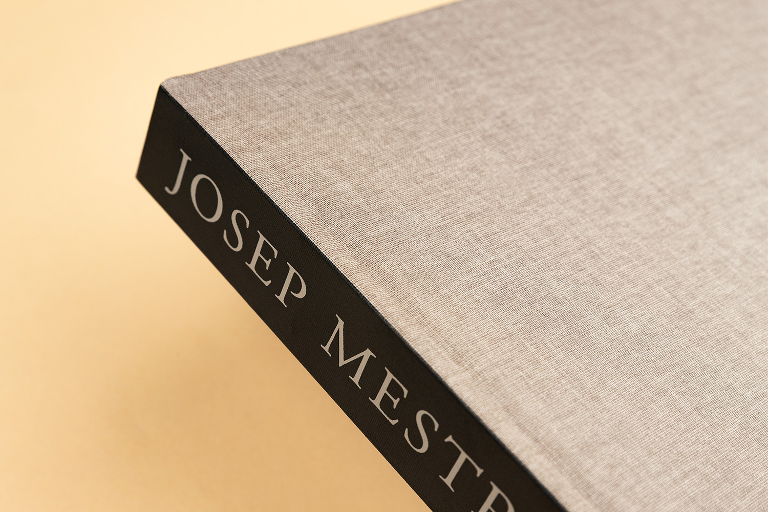 Tapa dura Josep Mestres Cabanes Museu Manresa