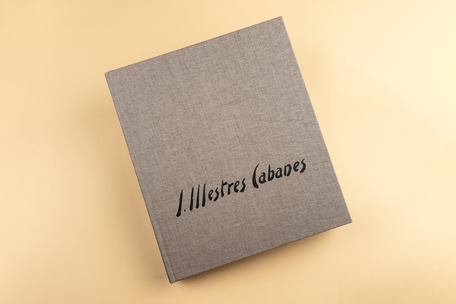 Josep Mestres Cabanes Museu Manresa