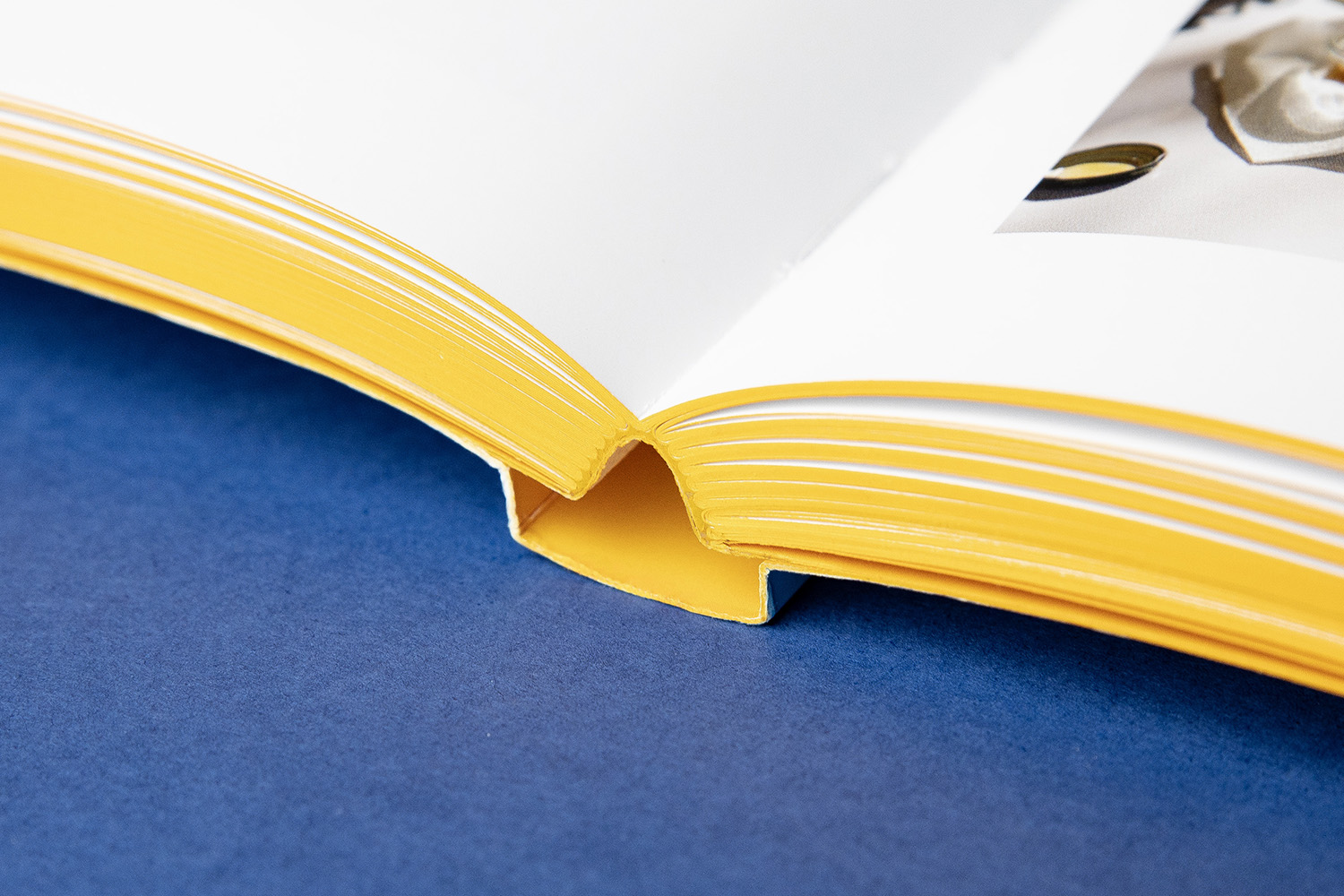 Otabind binding Barcelona Ciutat de Terrasses llibre