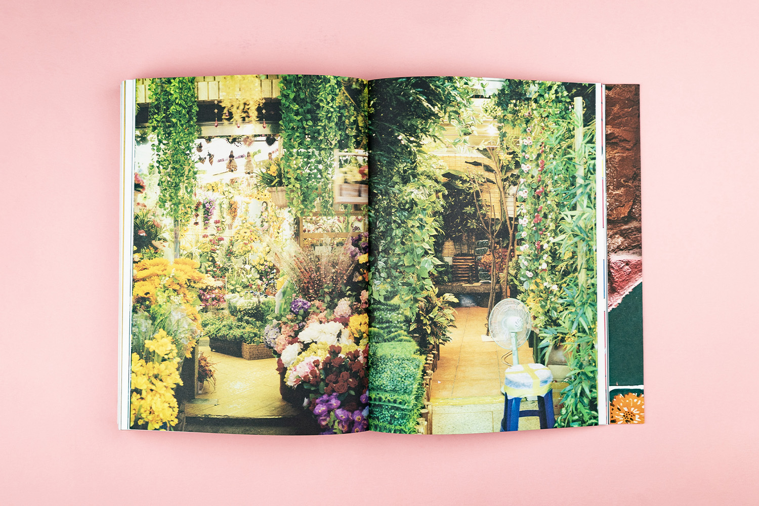 Libro fotografía Gaudí Casa Vicens