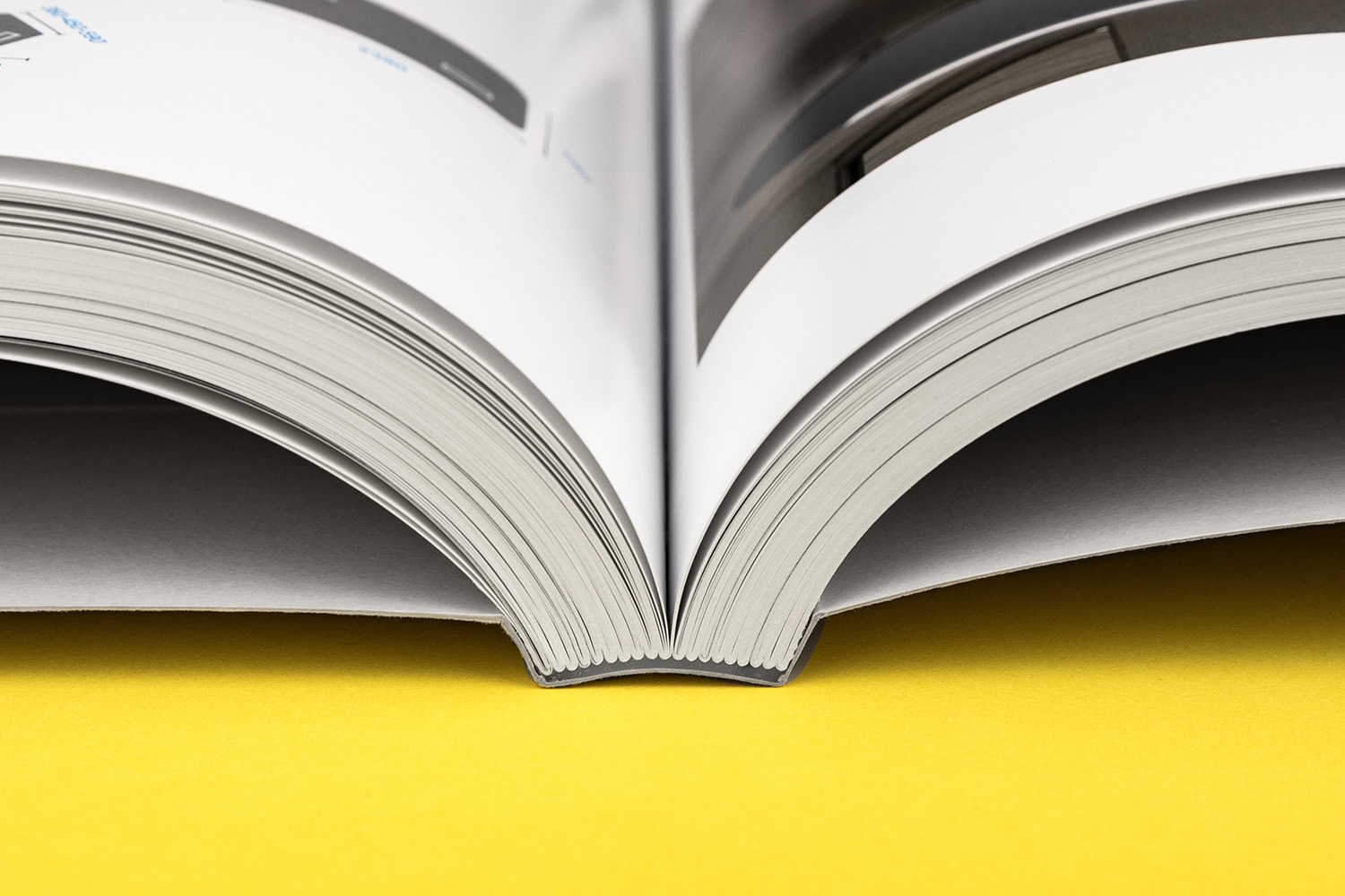 Lamp catalog 2025 binding Lighting Solutions