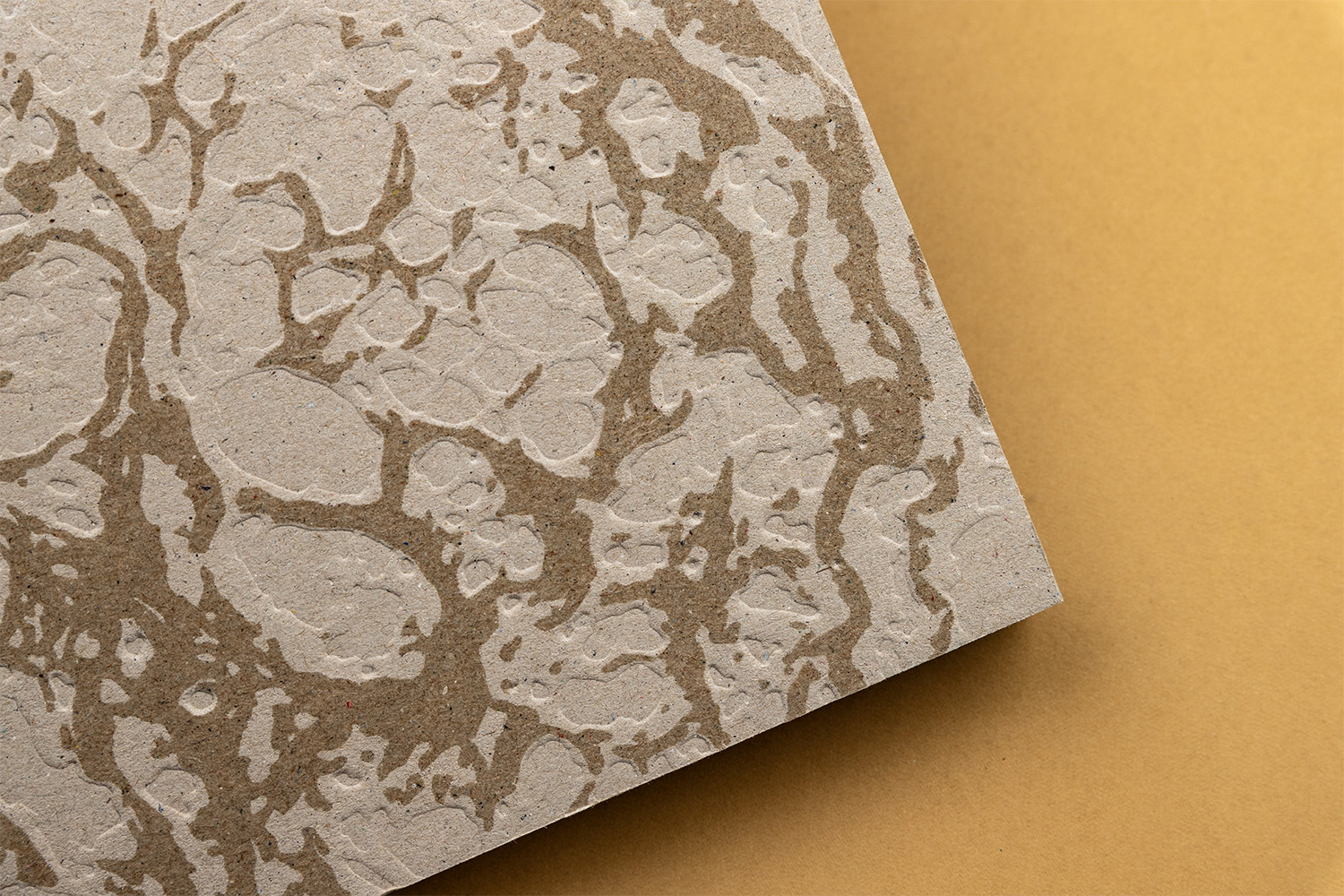 Fundació Cares Llibre coberta uvi selectiu