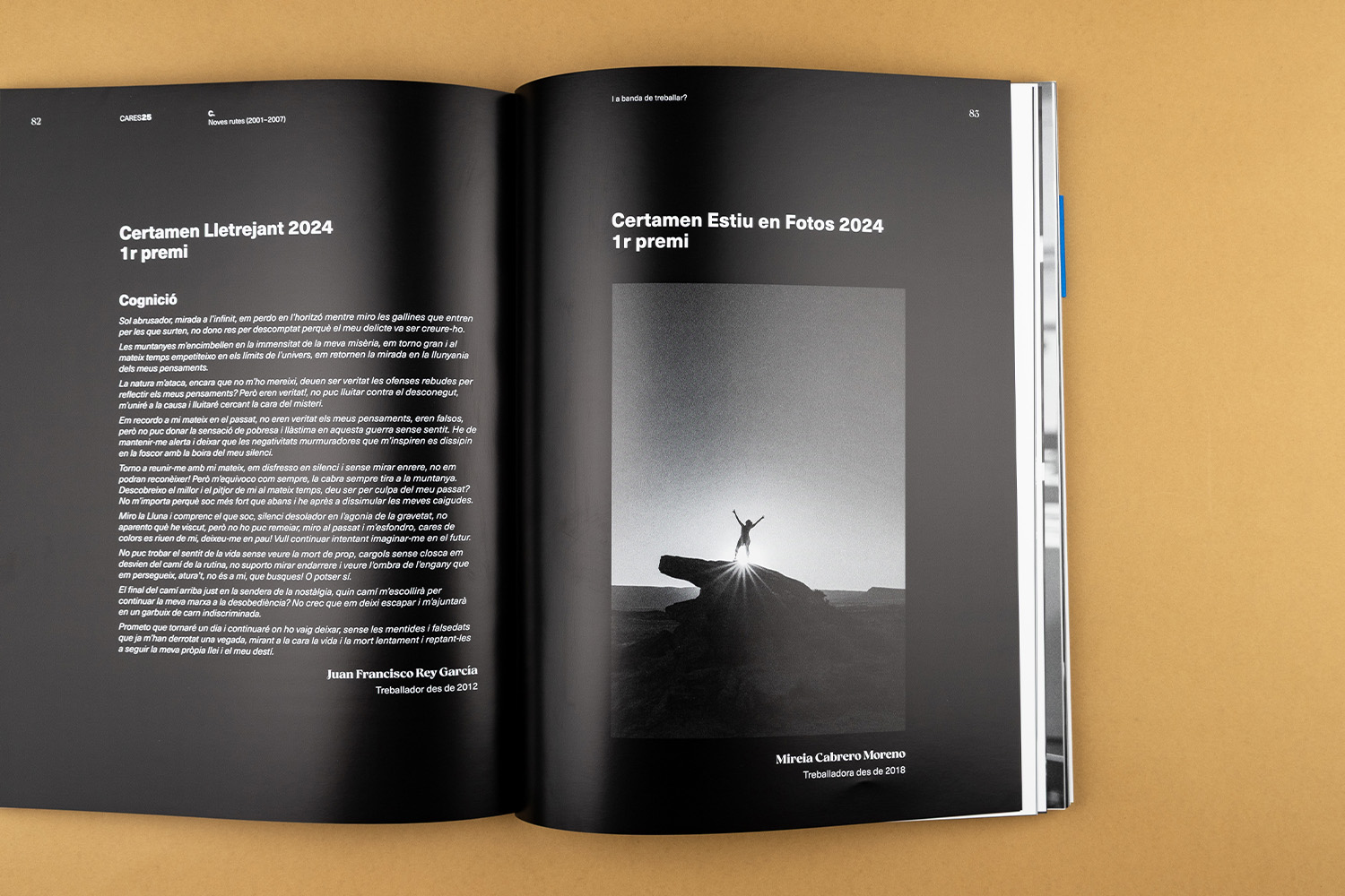 Fundació Cares Llibre estucat brillant