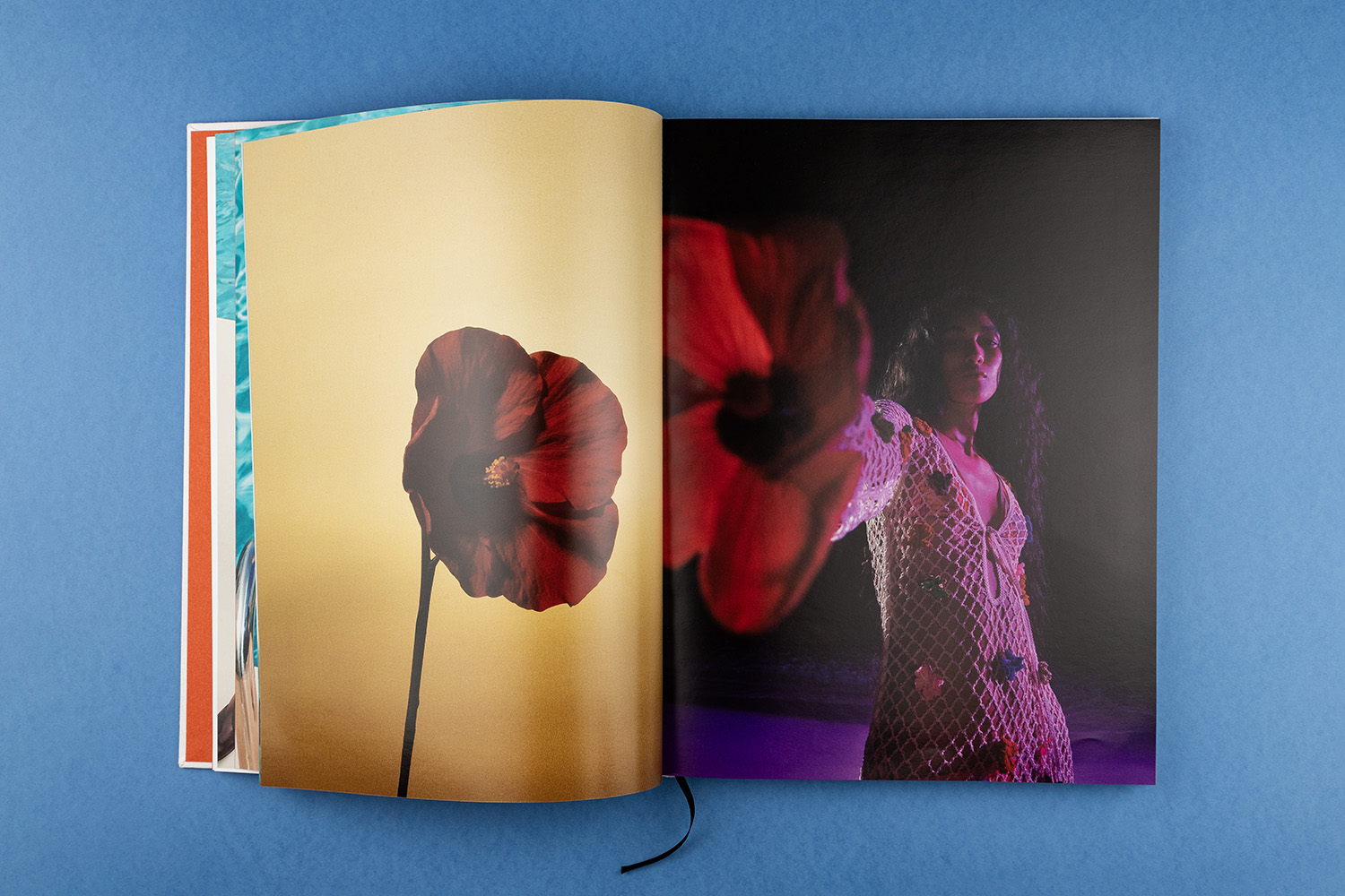 Mango catalog photography