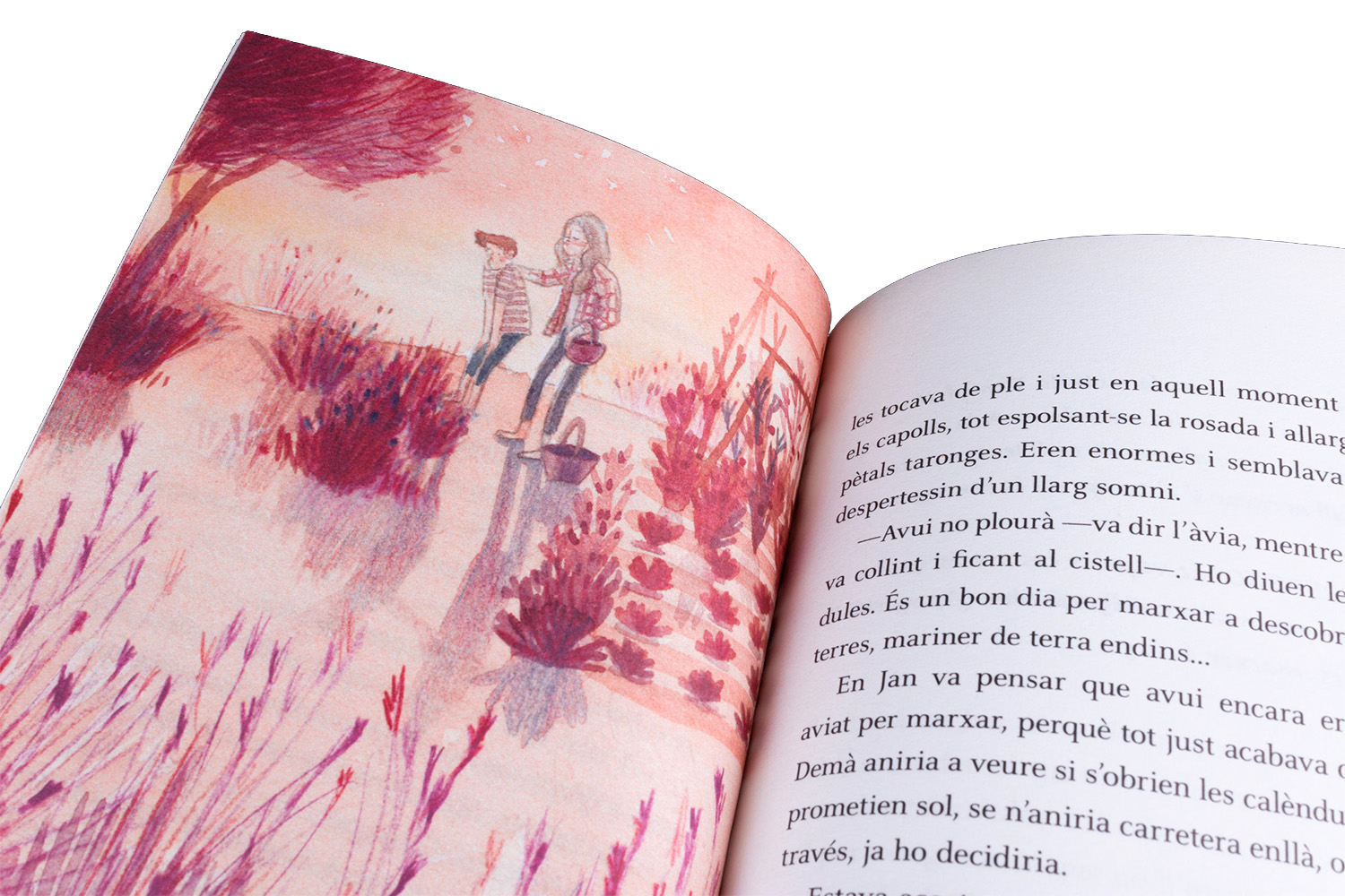 Akiara Llibre Il·lustrat