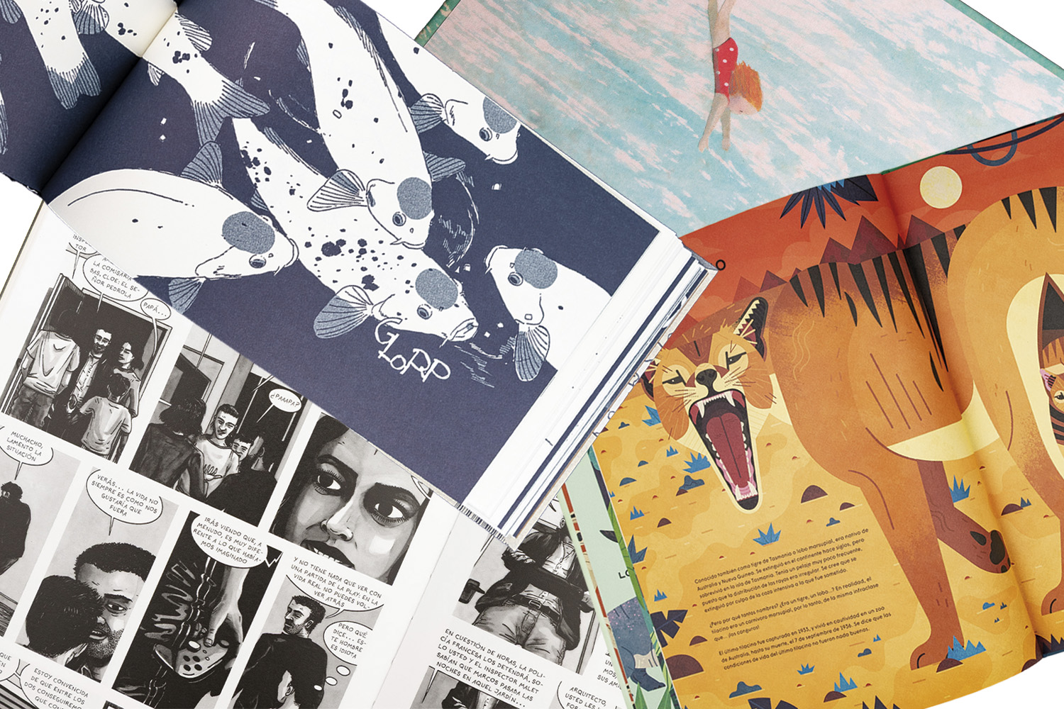 Comic Illustrated book printing