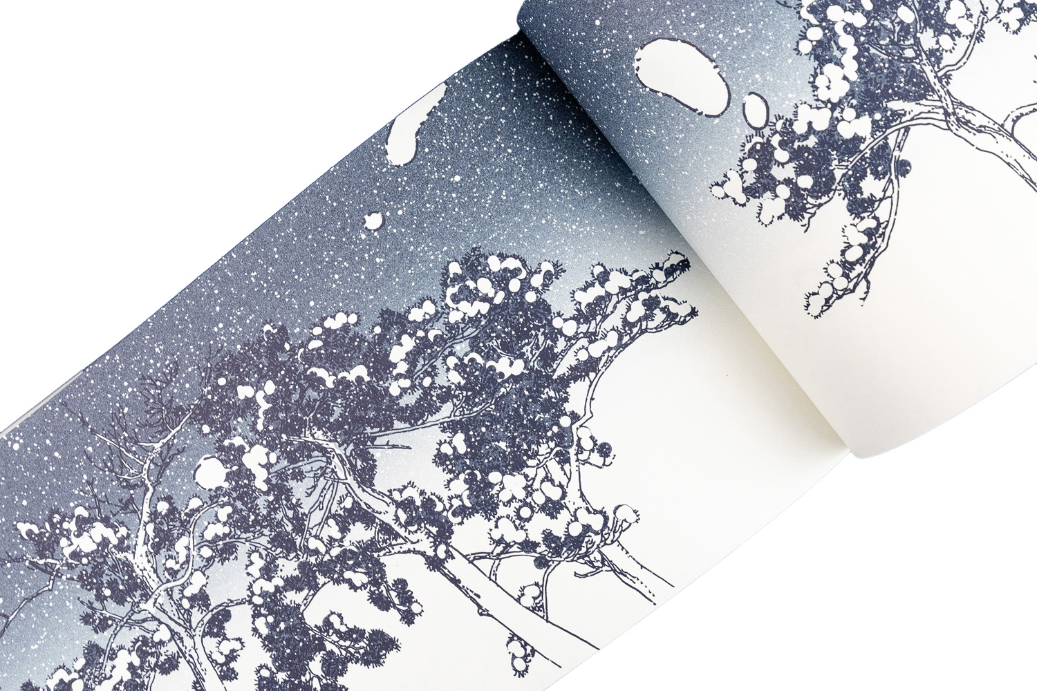 Une rainette en automne (et plus encore…), Linnea Sterte. Éditions de la Cerise