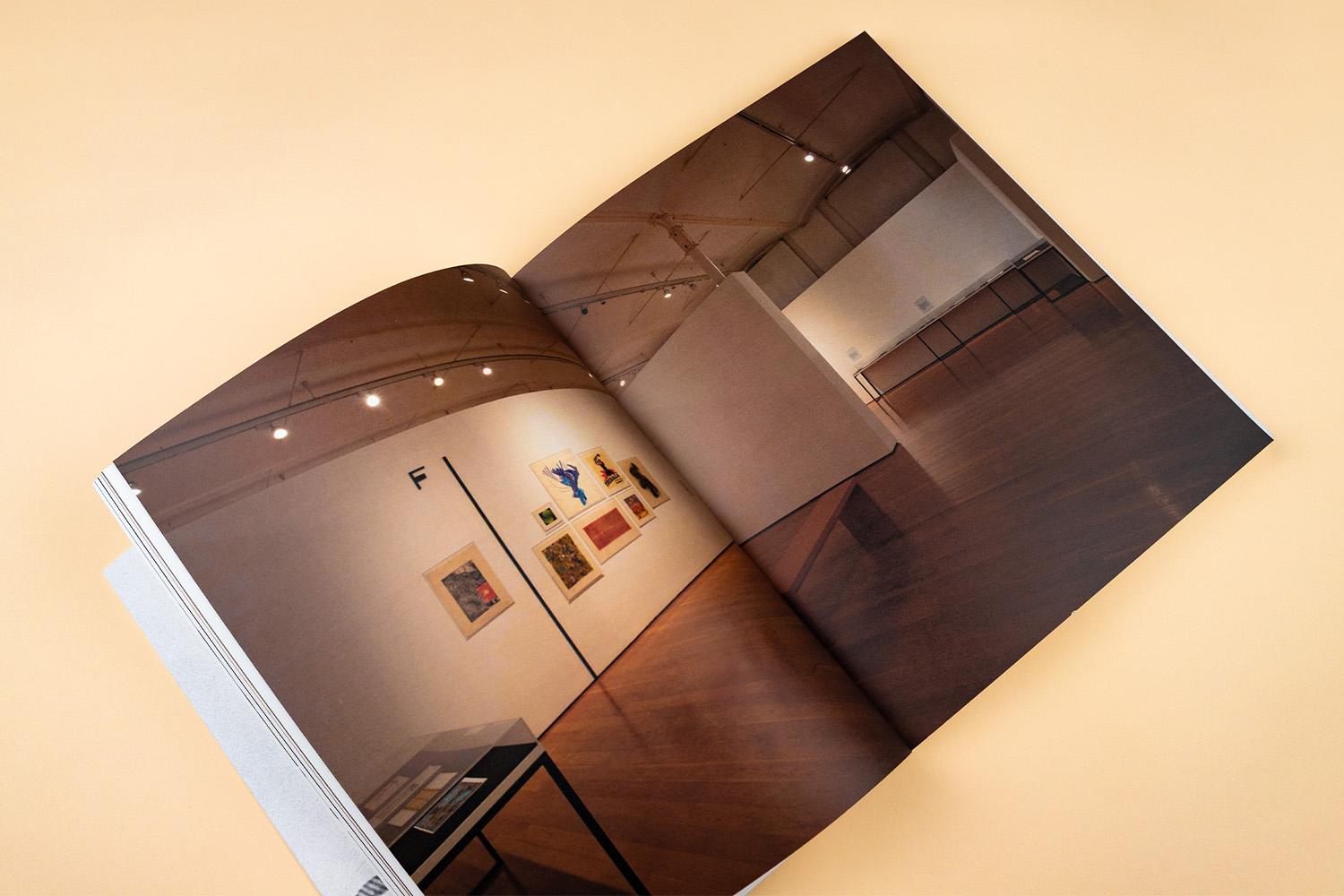 Papers Treballats llibre fotografia