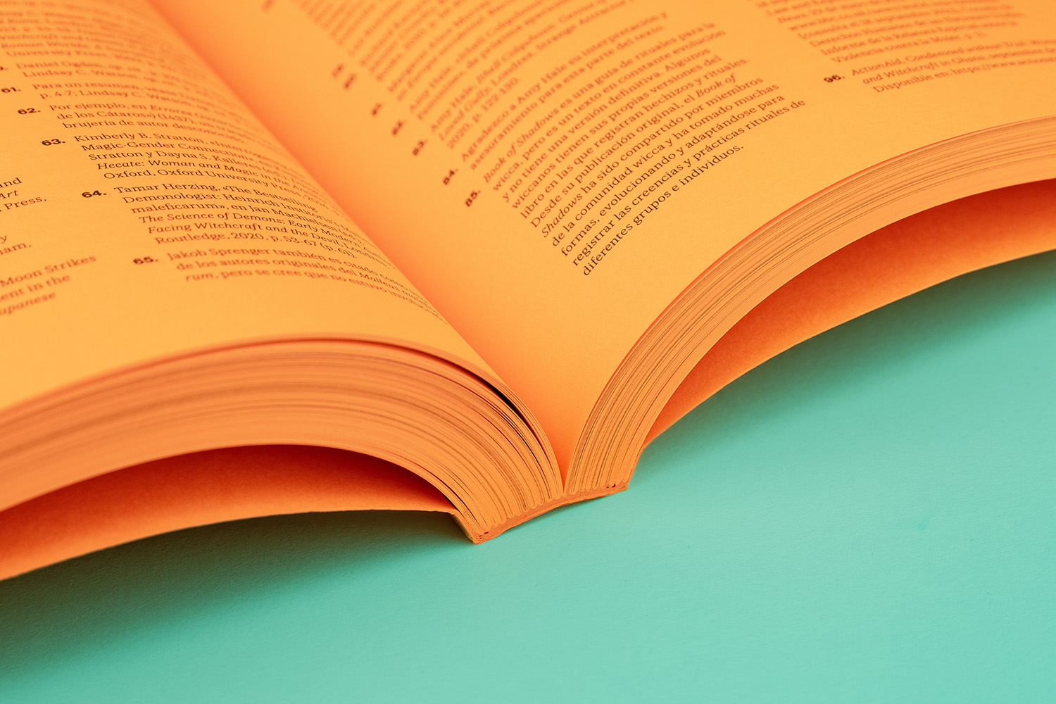 Venerades i temudes libro bordes pintados