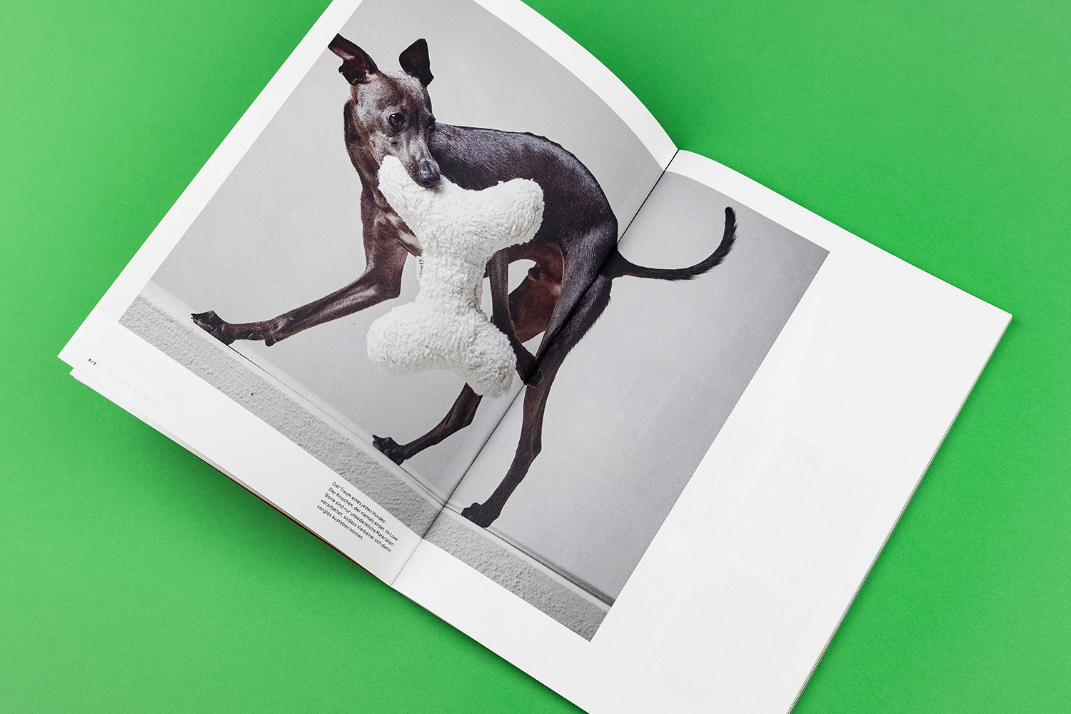 Cloud7 catalog photography