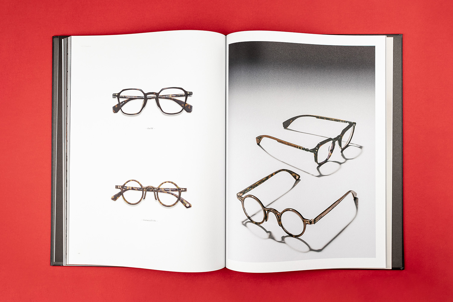 Etnia Barcelona Pellicer glasses catalog