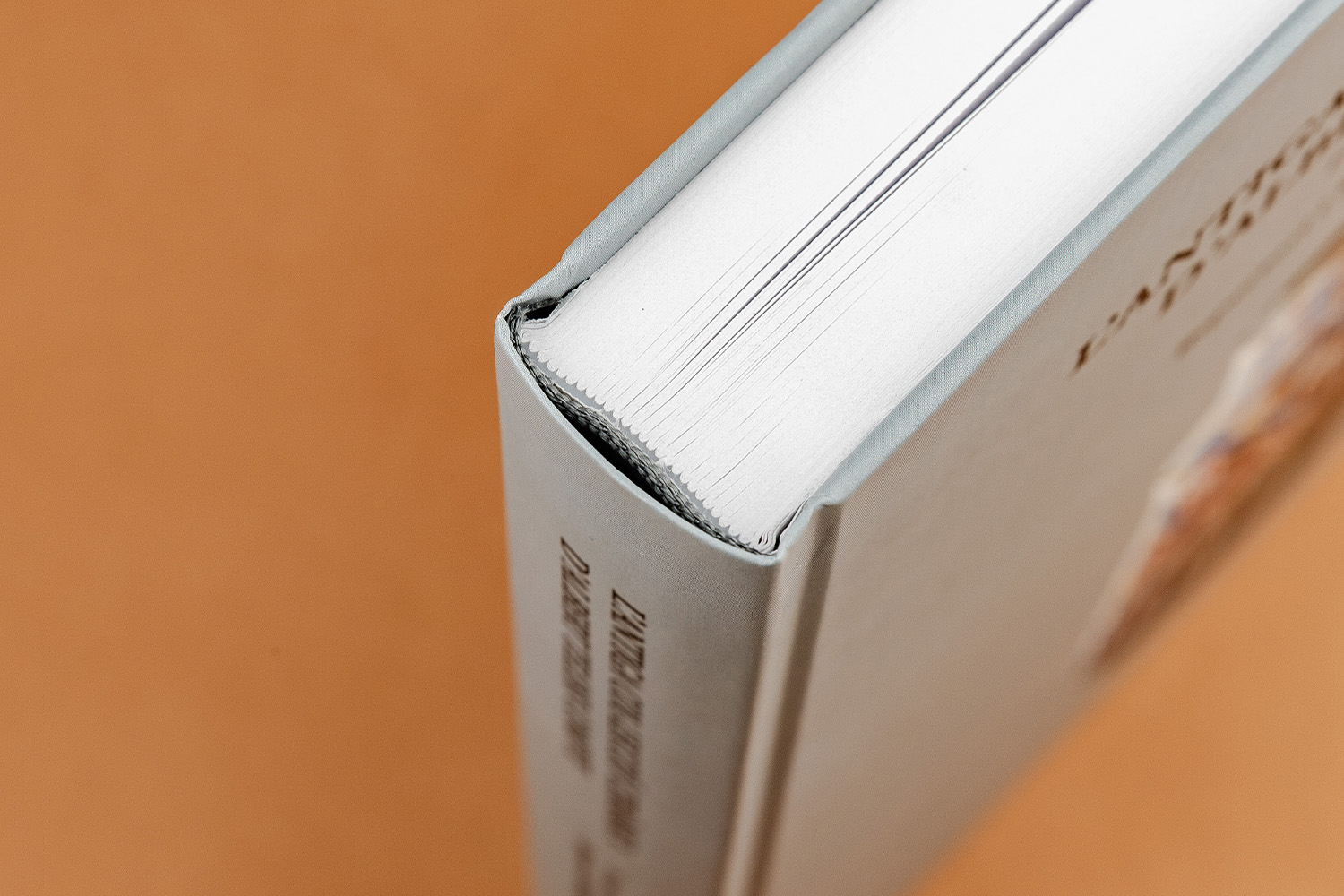 Albert Telese Compte llibre enquadernació