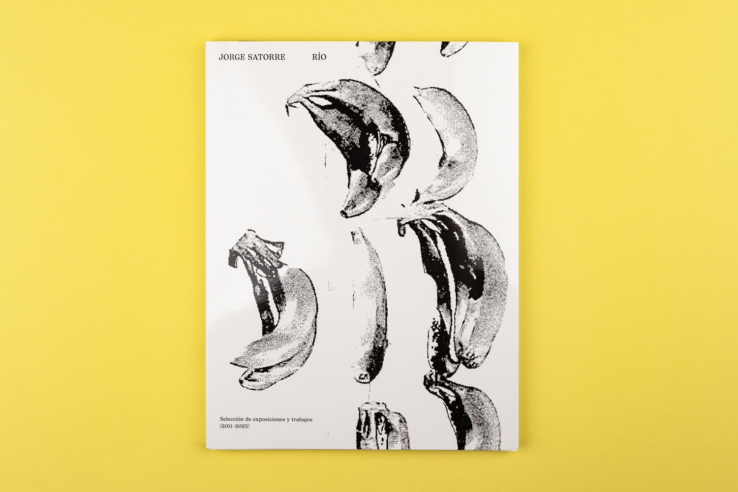 Jorge Satorre Rio libro de arte