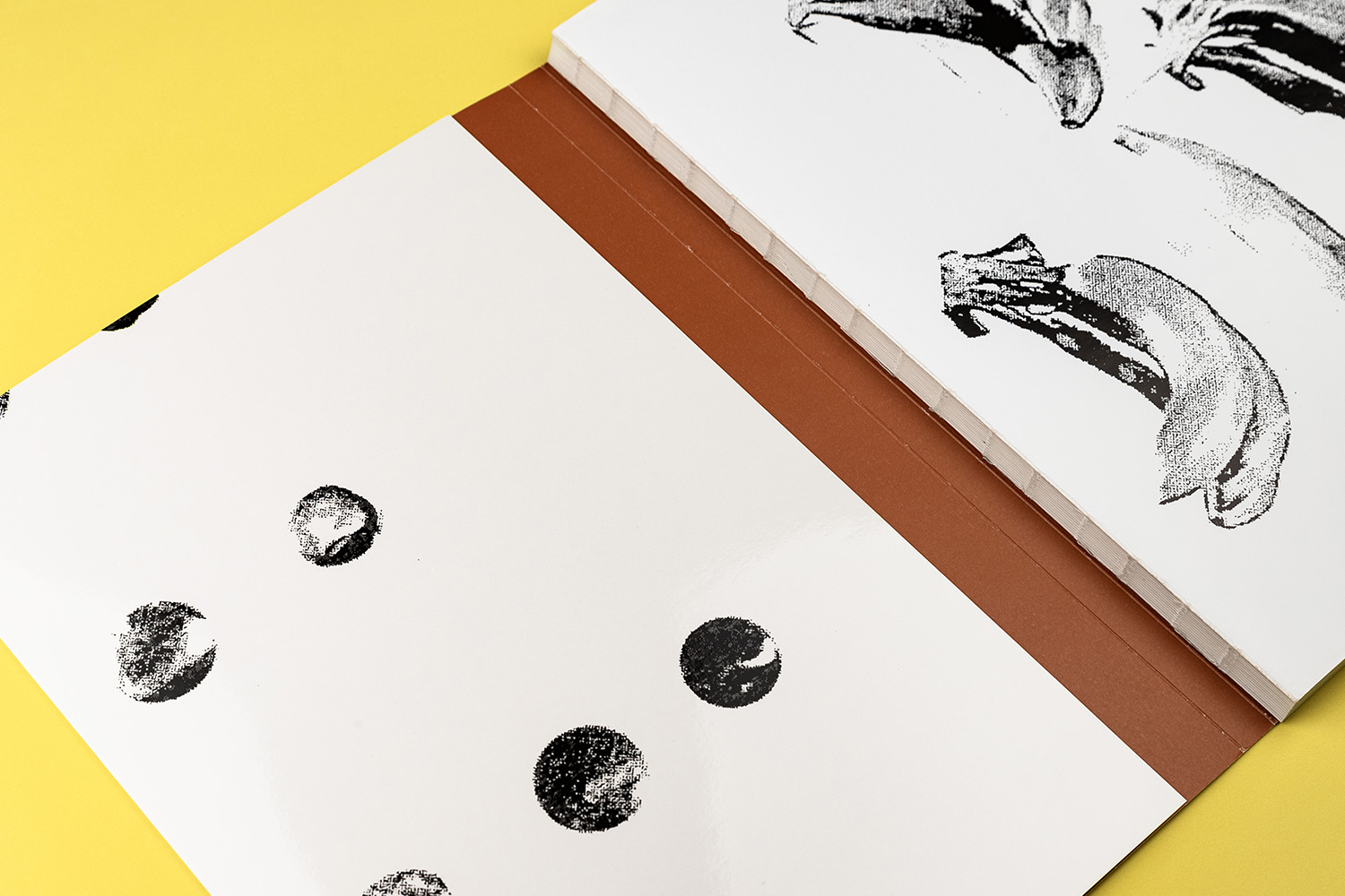 Jorge Satorre Rio libro sobrecubierta