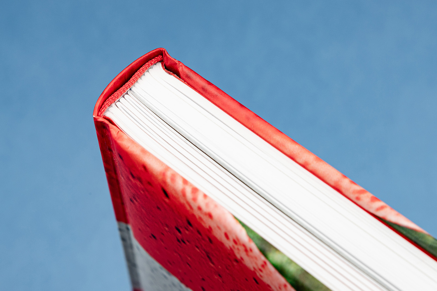 Grup Vilà Vila llibre enquadernació