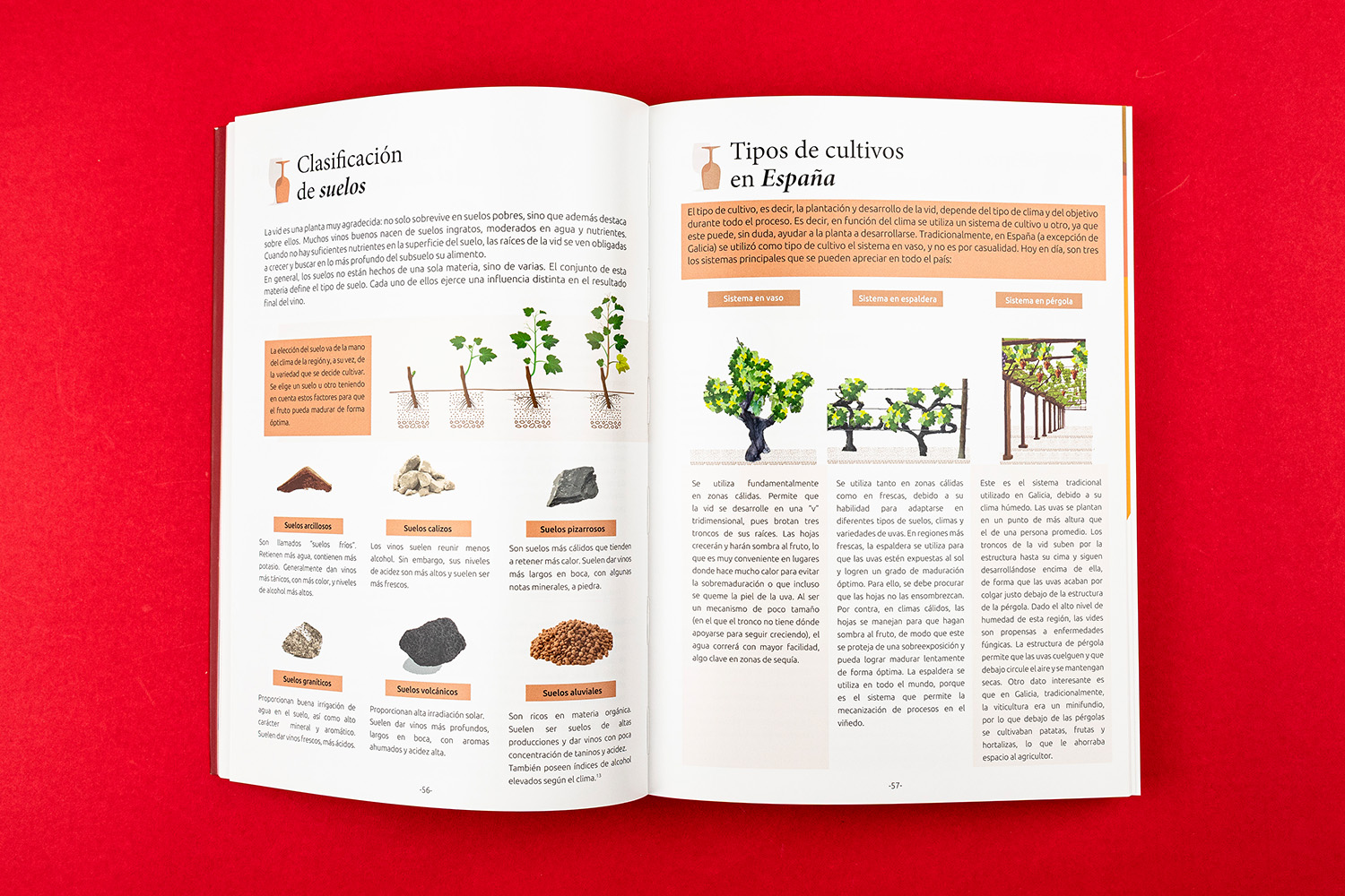 Vinalogando por España Jaqueline D'Hipolito Dartora