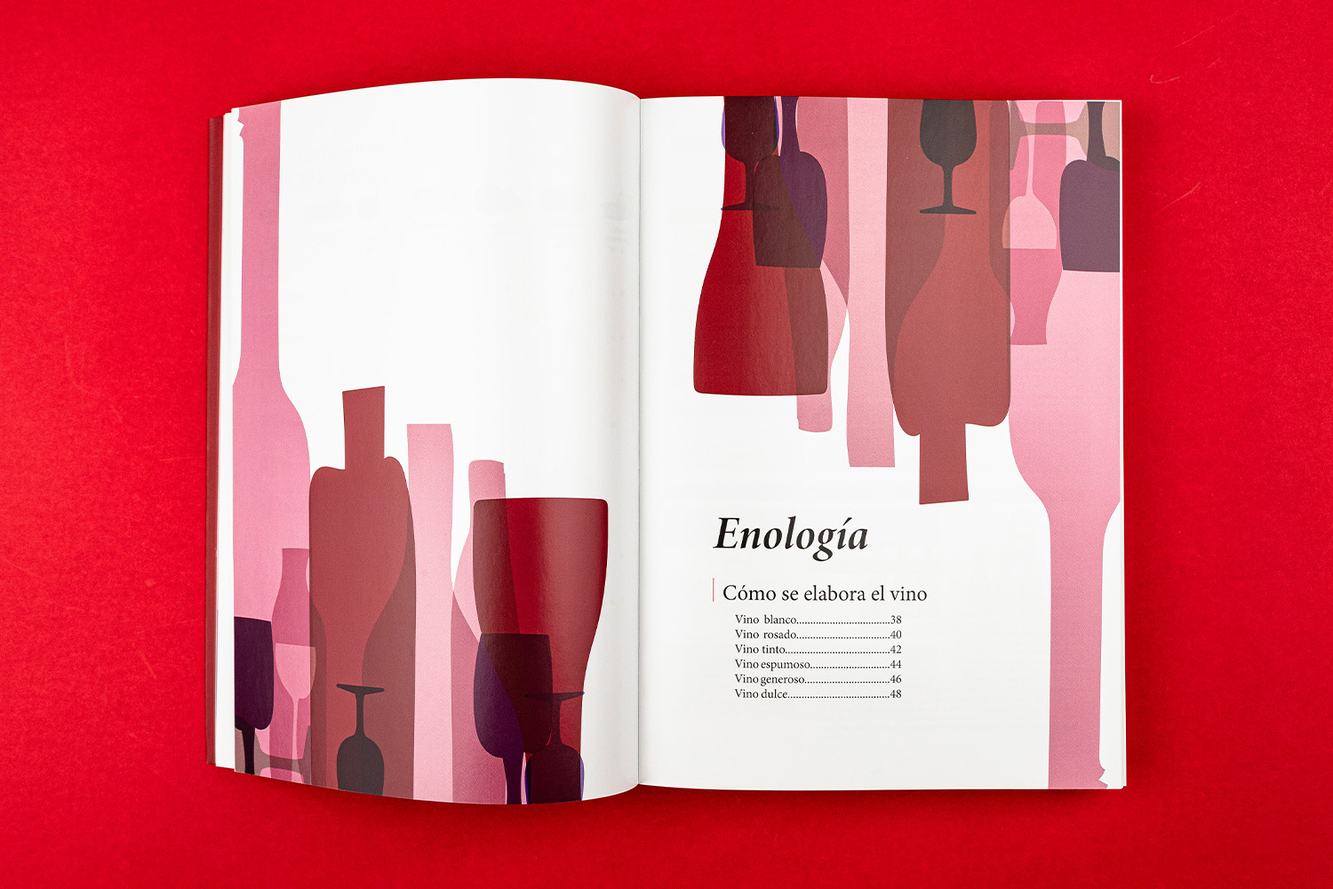 Vinalogando por España libro enologia